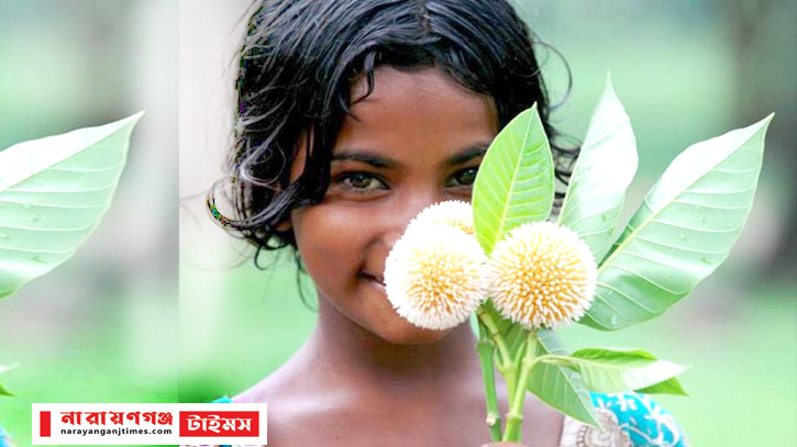 হারিয়ে যাচ্ছে বাদল দিনের কদম ফুল