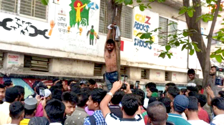 চাষাড়ায় ‘ছিনতাইকারী’ আখ্যা দিয়ে যুবককে গাছে ঝুলিয়ে নির্যাতন চাষাড়ায় ‘ছিনতাইকারী’ আখ্যা দিয়ে যুবককে গাছে ঝুলিয়ে নির্যাতন