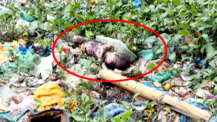 সিদ্ধিরগঞ্জে ময়লার স্তূপ থেকে নবজাতকের লাশ উদ্ধার সিদ্ধিরগঞ্জে ময়লার স্তূপ থেকে নবজাতকের লাশ উদ্ধার
