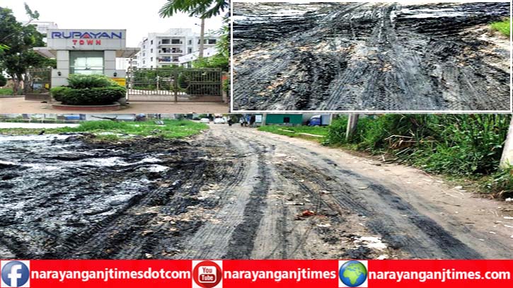 নারায়ণগঞ্জ লিংক রোড রুপায়ন টাউন সংযোগ সড়কের বেহাল দশা নারায়ণগঞ্জ লিংক রোড রুপায়ন টাউন সংযোগ সড়কের বেহাল দশা
