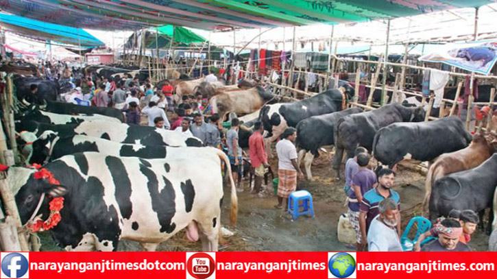 সদর উপজেলায় অনুমোদন পেলো ১৩ টি অস্থায়ী পশুর হাট সদর উপজেলায় অনুমোদন পেলো ১৩ টি অস্থায়ী পশুর হাট