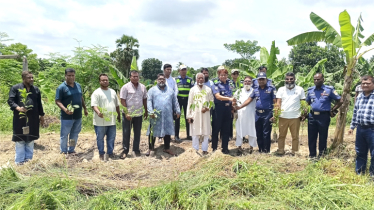 পরিবেশ রক্ষায় ট্যুরিস্ট পুলিশের উদ্যোগে সোনারগাঁয়ে বৃক্ষরোপণ