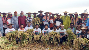  সোনারগাঁয়ে তারেক রহমানের ৩১ দফা বাস্তবায়নে কৃষকদের নিয়ে কর্মশালা