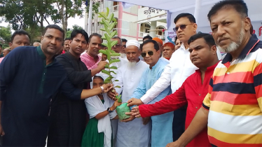 রূপগঞ্জে দাউদপুর ইউনিয়ন বিএনপির বৃক্ষ রোপণ ও বিতরণ 