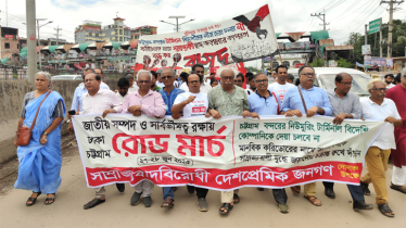 অন্তর্বর্তী সরকার দেশের স্বার্থবিরোধী পদক্ষেপের কথা বলছে: প্রিন্স