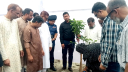 গণভ্যুন্থানে শহীদদের স্মৃতিকে ধরে রাখতেই জুলাই বৃক্ষরোপণ : ডিসি