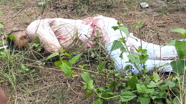 রূপগঞ্জে পূর্বাচল উপশহর থেকে যুবকের রক্তাক্ত মরদেহ উদ্ধার 