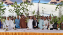 মহানগর ছাত্রদলের দোয়া মাহফিল ও বৃক্ষ বিতরণ 