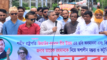 নির্বাচন বানচাল করতে আ’লীগের ছত্রছায়ায় একটি মহল কাজ করেছে : সানি