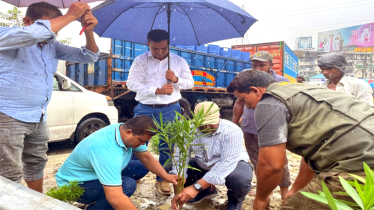 সোনারগাঁয়ে জিরো সয়েল কর্মসূচির আওতায় বৃক্ষরোপন