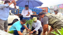 সোনারগাঁয়ে জিরো সয়েল কর্মসূচির আওতায় বৃক্ষরোপন