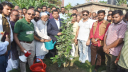 না’গঞ্জকে আরও সুপরিচিত করতে স্থাপন করবো গেইট অফ ড্যান্ডি : ডিসি