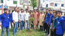 নারায়ণগঞ্জ মহানগর ছাত্রদলের বৃক্ষরোপন কর্মসূচি 