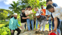 সোনারগাঁয়ে বিএনপি নেতার বৃক্ষ রোপন কর্মসূচী