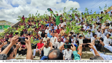 বাঁচতে হলে গাছ লাগাতেই হবে : মামুন মাহমুদ