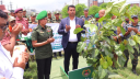 সিদ্ধিরগঞ্জে বাংলাদেশ আনসার ও গ্রাম প্রতিরক্ষা বাহিনীর বৃক্ষরোপণ 