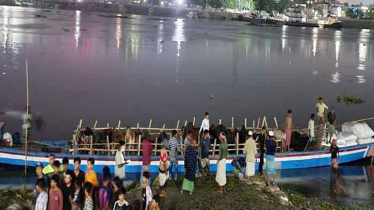 অস্ত্রের মুখে জিম্মি করে এক হাটের গরু অন্য হাটে নামানোর অভিযোগ