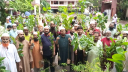 প্রত্যেক নাগরিকের উচিৎ একটি হলেও গাছ রোপণ করা :  মাও. জব্বার