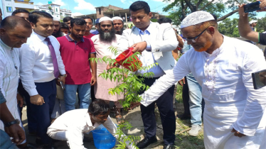 রূপগঞ্জে গ্রীন এন্ড ক্লিন কর্মসূচির উদ্বোধন করলেন ডিসি জাহিদুল 
