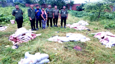 পূর্বাচলে জবাইকৃত ৫টি ঘোড়ার মাংস উদ্ধার, যুবককে কারাদন্ড 