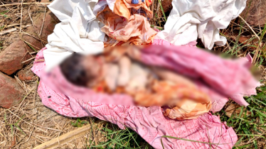 রূপগঞ্জে নবজাতক কন্যা শিশুর মরদেহ উদ্ধার