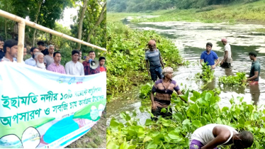 কচুরিপানার দুর্ভোগ থেকে মুক্তি চায় ইছামতির একাংশের মানুষ