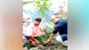 নারায়ণগঞ্জ মহানগরী জামায়াতের মাসব্যাপী বৃক্ষ রোপণ কর্মসূচি উদ্বোধ
