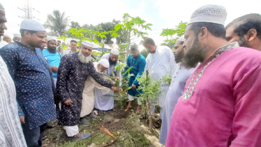 জাতীয় সমাবেশ সফল করতে বৃক্ষ রোপনের মধ্যে দিয়ে জামায়াতের গণসংযোগ