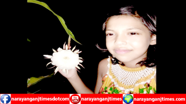 আড়াইহাজারে সাংবাদিকের বাড়ির উঠোনে নাইট কুইনের সৌরভ  