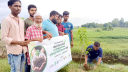 বিশ্ব পরিবেশ দিবস উপলক্ষে সোনারগাঁয়ে বৃক্ষ রোপণ