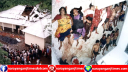 চাষাঢ়ায় আওয়ামী লীগ অফিসে বর্বরোচিত বোমা হামলার রায় ১ আগষ্ট 