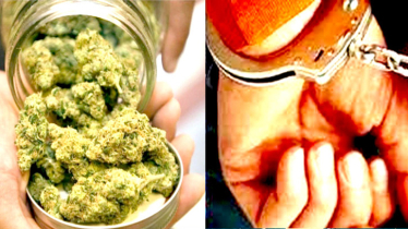 বন্দরে বিশেষ অভিযানে গাঁজাসহ সাগর গ্রেপ্তার