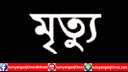 বন্দরে গ্রাইন্ডিং মেশিনের আঘাতে স্কুল মালির মৃত্যু