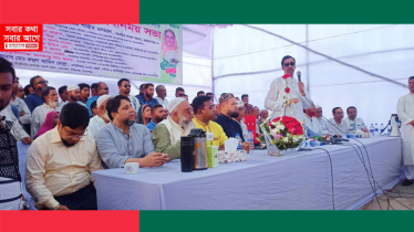 শেখ হাসিনা একজন হিমালয় পর্বত : শামীম ওসমান