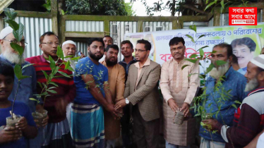 সোনারগাঁয়ে বৃক্ষরোপণ ও চারা বিতরণ