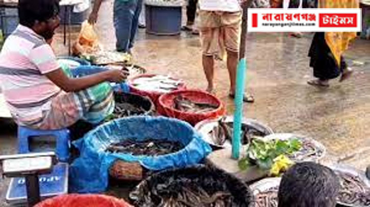 ঐতিহ্যবাহী ৩ নং মাছ ঘাটের ব্যবসা হুমকির মুখে ঐতিহ্যবাহী ৩ নং মাছ ঘাটের ব্যবসা হুমকির মুখে