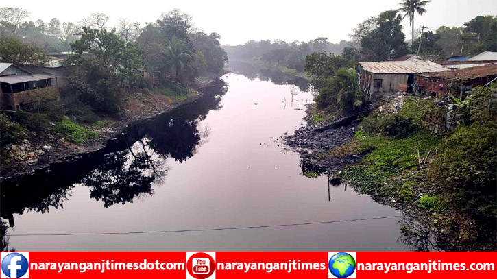 নারায়ণগঞ্জে মিল কারখানার বর্জের পানিতে ধ্বংস হচ্ছে ব্রহ্মপুত্র নদ