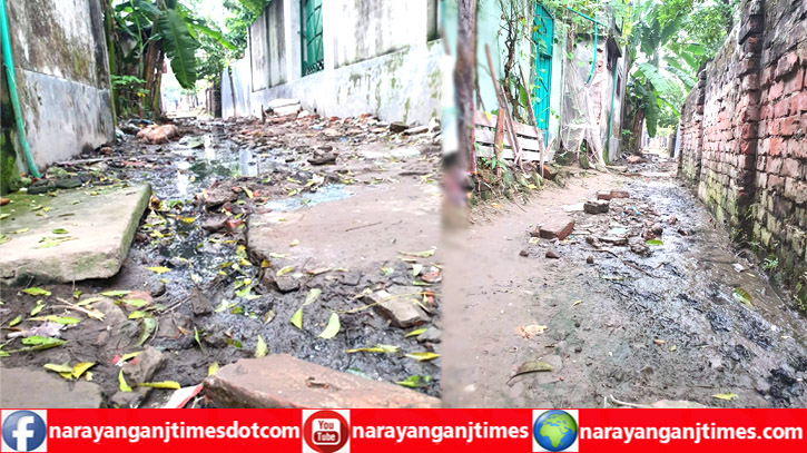 নাসিক ১নং ওয়ার্ডে ২শ’ মিটার সড়কের বেহাল দশা, ভোগান্তি