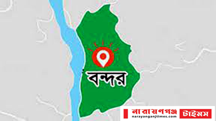 বন্দরে সন্ত্রাসী হামলায় গৃহবধূ আহত