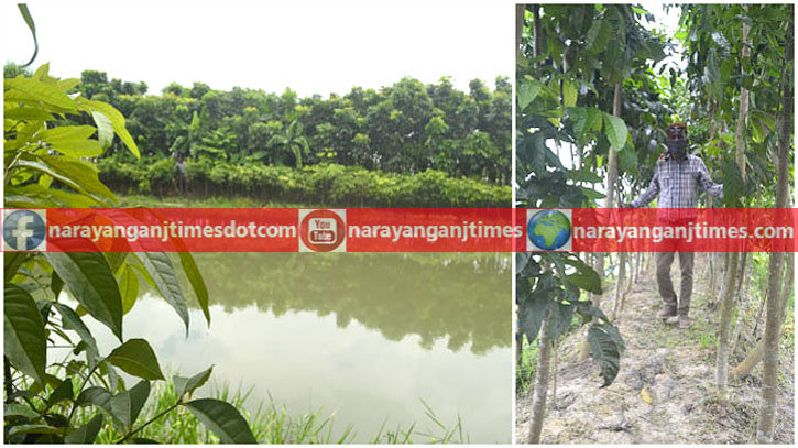আড়াইহাজারে হাবিবের সখের পুকুর এখন আয়ের উৎস আড়াইহাজারে হাবিবের সখের পুকুর এখন আয়ের উৎস