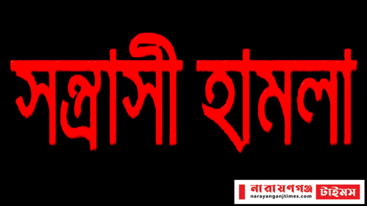 বন্দরে সস্ত্রাসী হামলায় বিশ্ববিদ্যালয়ের নারী শিক্ষার্থী আহত