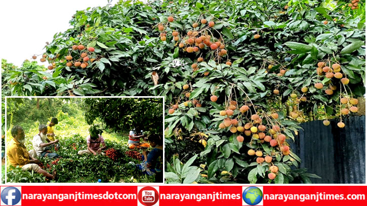 Porno ogli va dostlari onasini sikishdi