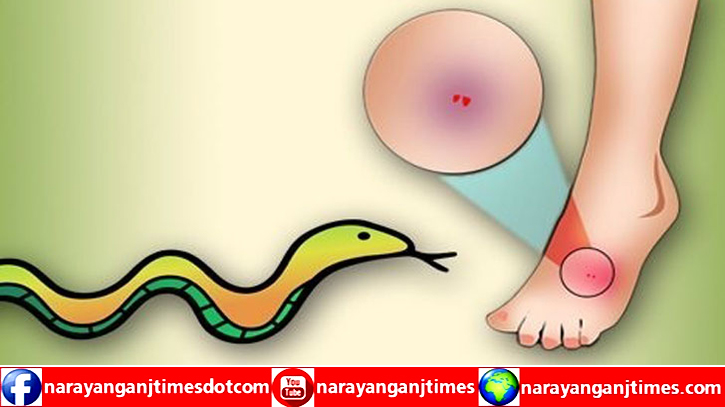 আড়াইহাজারে সাপের কামড়ে শিশুর মৃত্যু আড়াইহাজারে সাপের কামড়ে শিশুর মৃত্যু