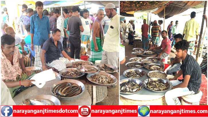 ছোট মাছের বড় বাজার সোনারগাঁয়ের বৈদ্যের বাজারের ফিশারিঘাট (ভিডিও)