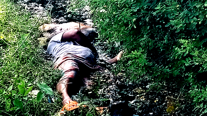 ফতুল্লায় গরুর ঘাস কাটতে গিয়ে বিদ্যুৎস্পৃষ্টে খামারির মৃত্যু ফতুল্লায় গরুর ঘাস কাটতে গিয়ে বিদ্যুৎস্পৃষ্টে খামারির মৃত্যু