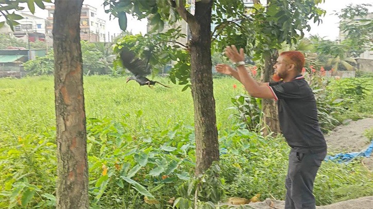 ফতুল্লায় ১৭ বন্যপাখি উদ্ধার ও অবমুক্ত