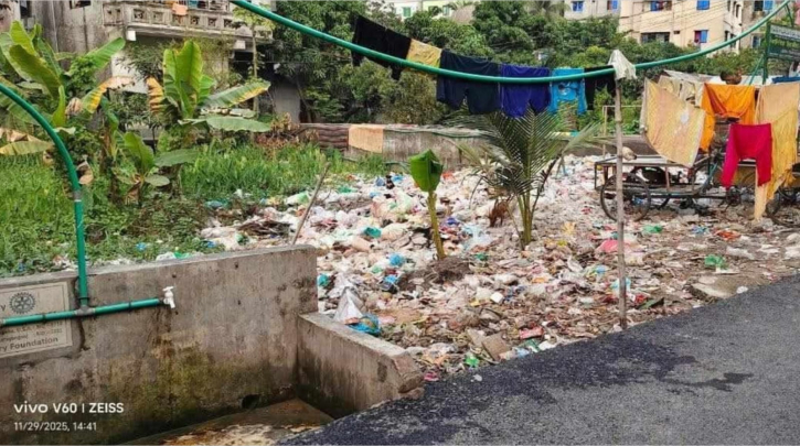 নাসিকের ১৭ নং ওয়ার্ডের নয়াপাড়ায় বেড়েছে মশার উপদ্রব ও জলাবদ্ধতা নাসিকের ১৭ নং ওয়ার্ডের নয়াপাড়ায় বেড়েছে মশার উপদ্রব ও জলাবদ্ধতা