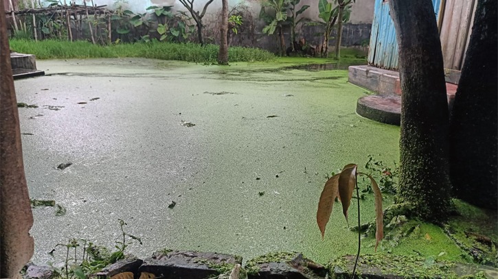 কয়েক দিনের বর্ষণে বন্দরের তিন ওয়ার্ডে তীব্র জলাবদ্ধতা কয়েক দিনের বর্ষণে বন্দরের তিন ওয়ার্ডে তীব্র জলাবদ্ধতা