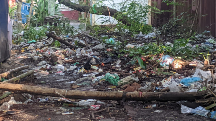হাজীগঞ্জ-নবীগঞ্জ ঘাটে ময়লার ভাগাড়, মশার উপদ্রবে ডেঙ্গু আতঙ্ক