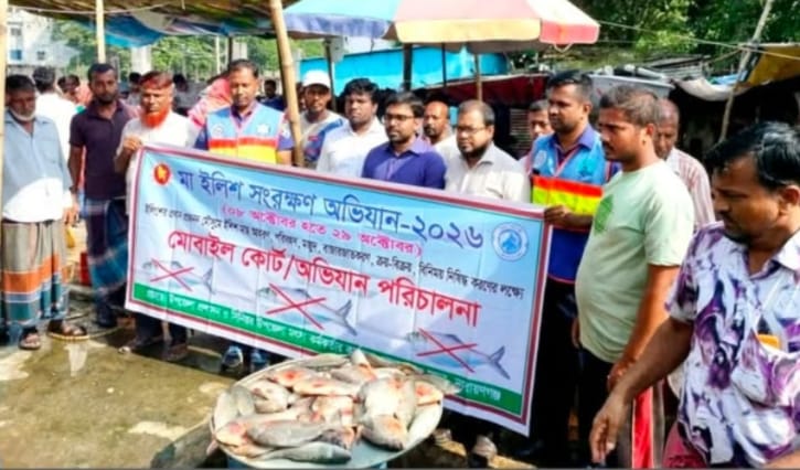 মা ইলিশ সংরক্ষণে অভিযান: জব্দ ইলিশ ও পিরানহা মাছ
